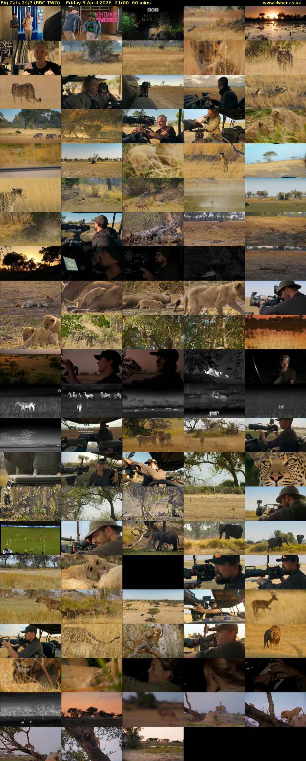 Big Cats 24/7 (BBC TWO) Friday 3 April 2026 21:00 - 22:00
