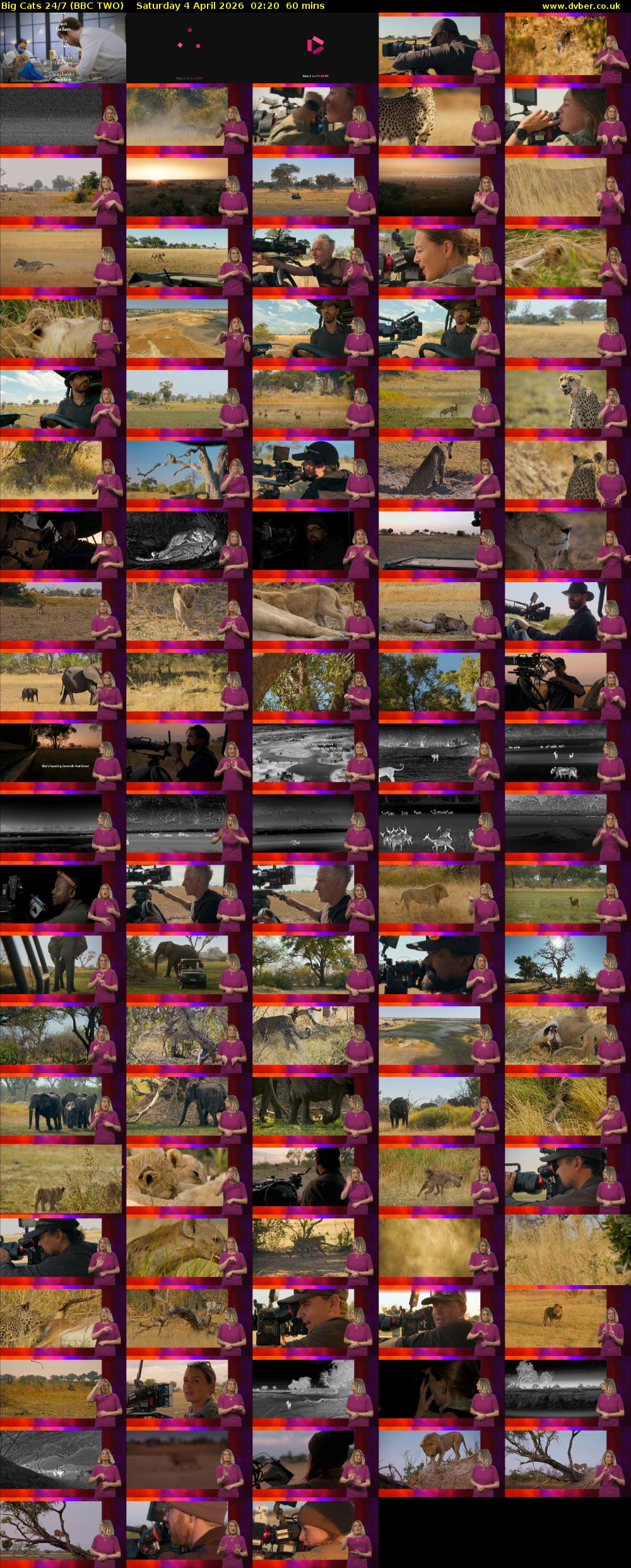 Big Cats 24/7 (BBC TWO) Saturday 4 April 2026 02:20 - 03:20