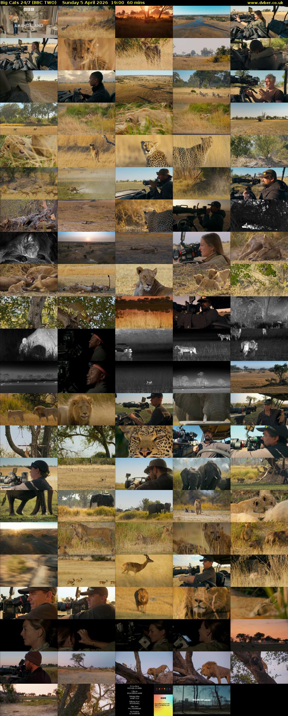 Big Cats 24/7 (BBC TWO) Sunday 5 April 2026 19:00 - 20:00