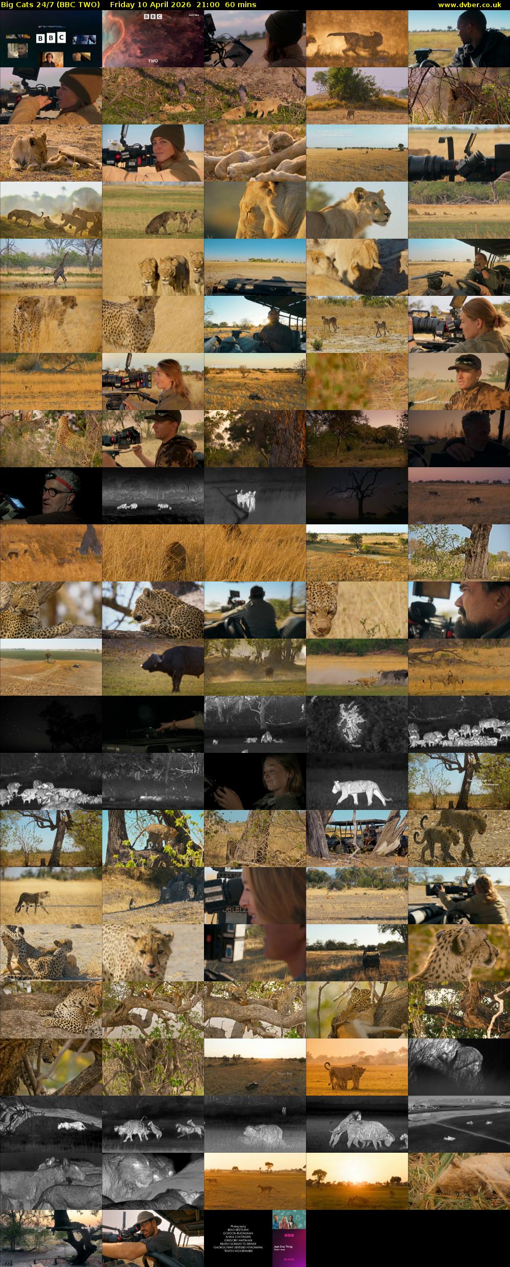 Big Cats 24/7 (BBC TWO) Friday 10 April 2026 21:00 - 22:00