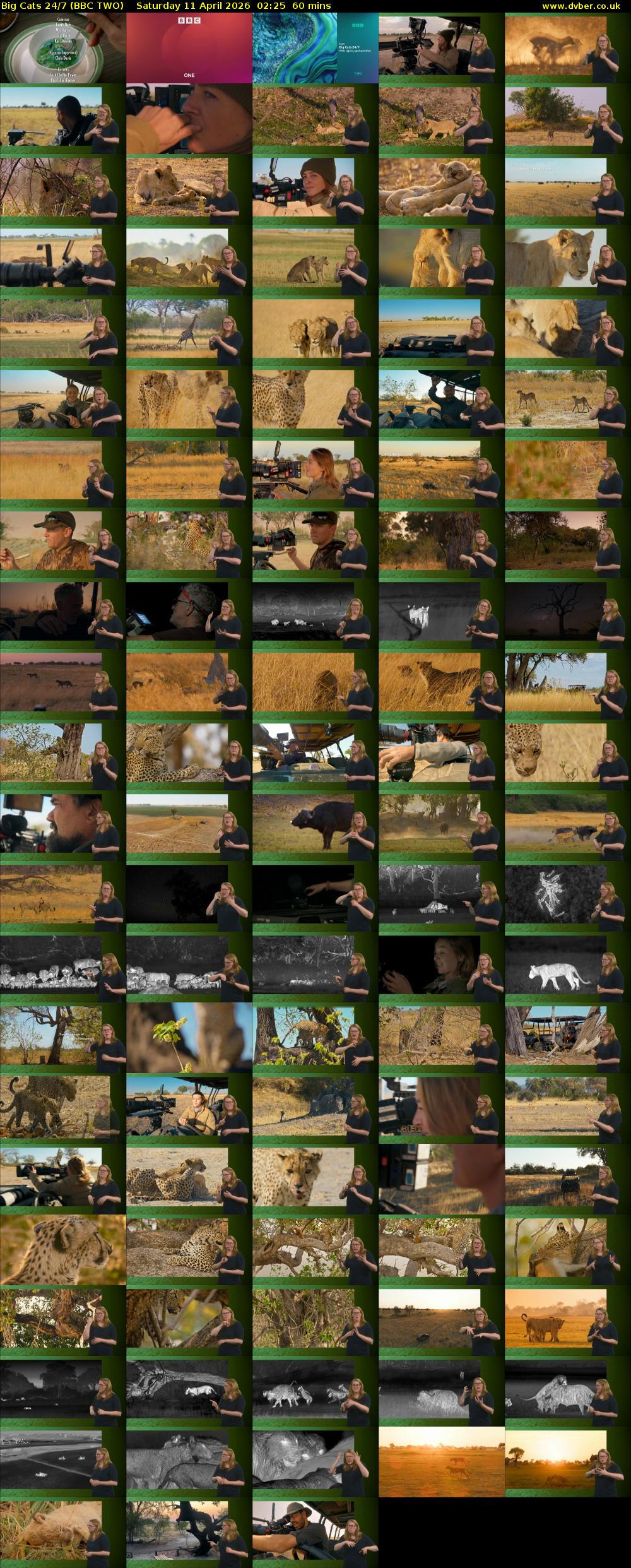 Big Cats 24/7 (BBC TWO) Saturday 11 April 2026 02:25 - 03:25
