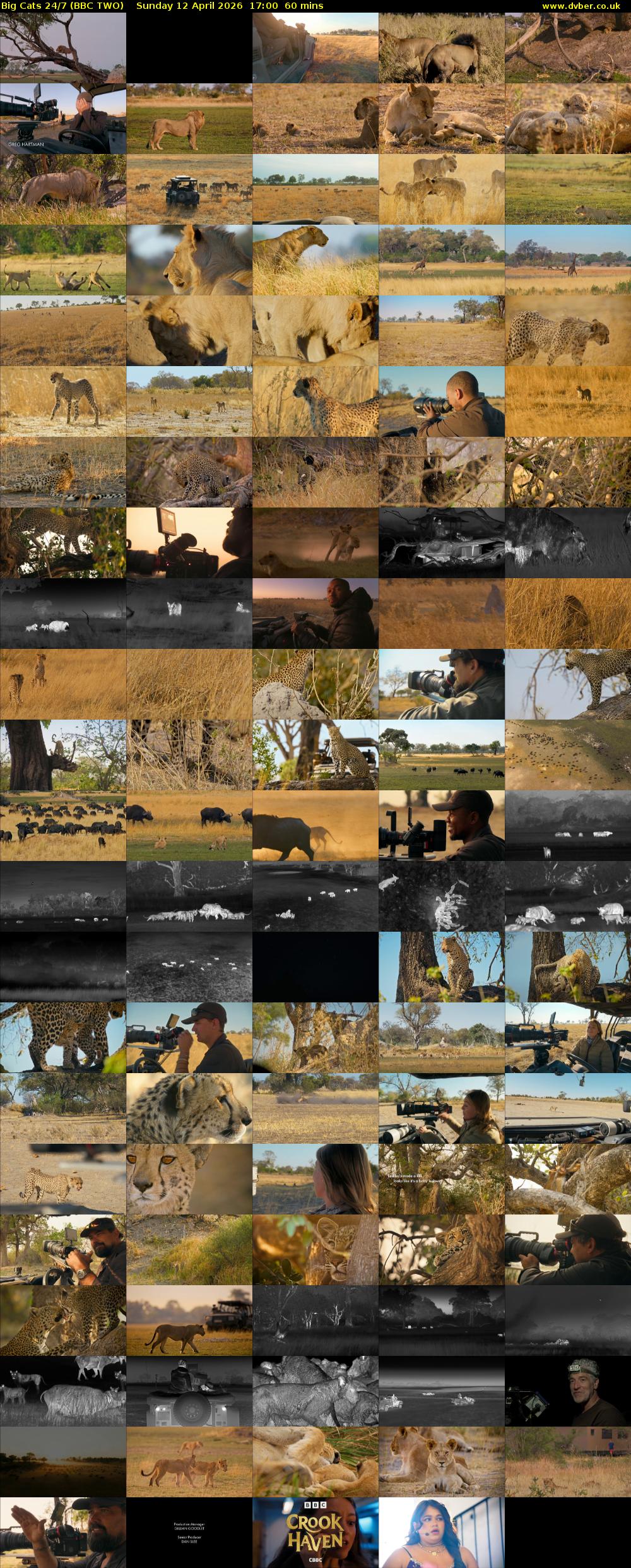 Big Cats 24/7 (BBC TWO) Sunday 12 April 2026 17:00 - 18:00
