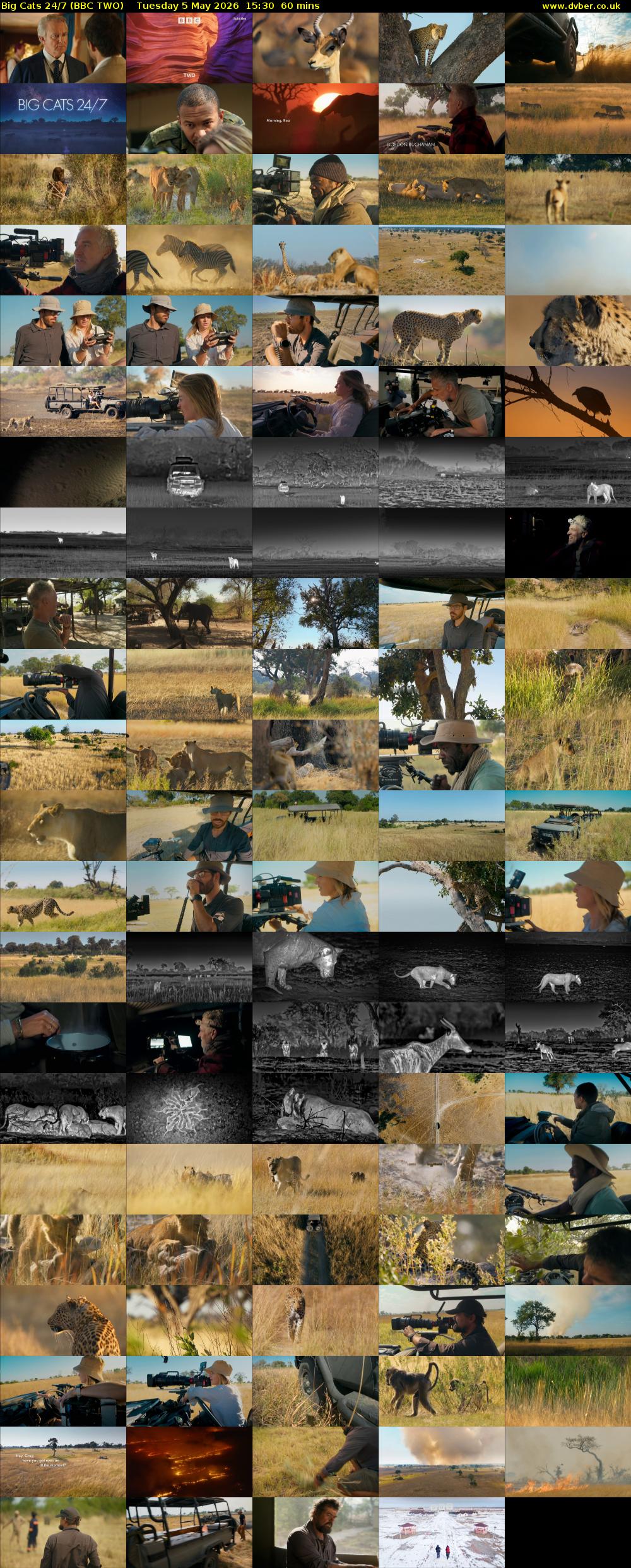 Big Cats 24/7 (BBC TWO) Tuesday 5 May 2026 15:30 - 16:30