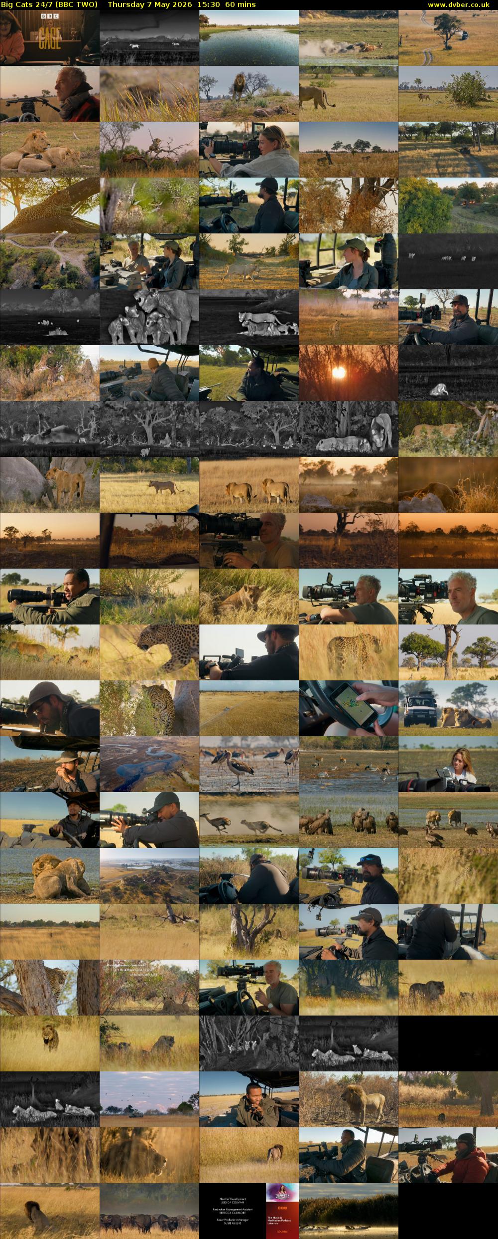 Big Cats 24/7 (BBC TWO) Thursday 7 May 2026 15:30 - 16:30