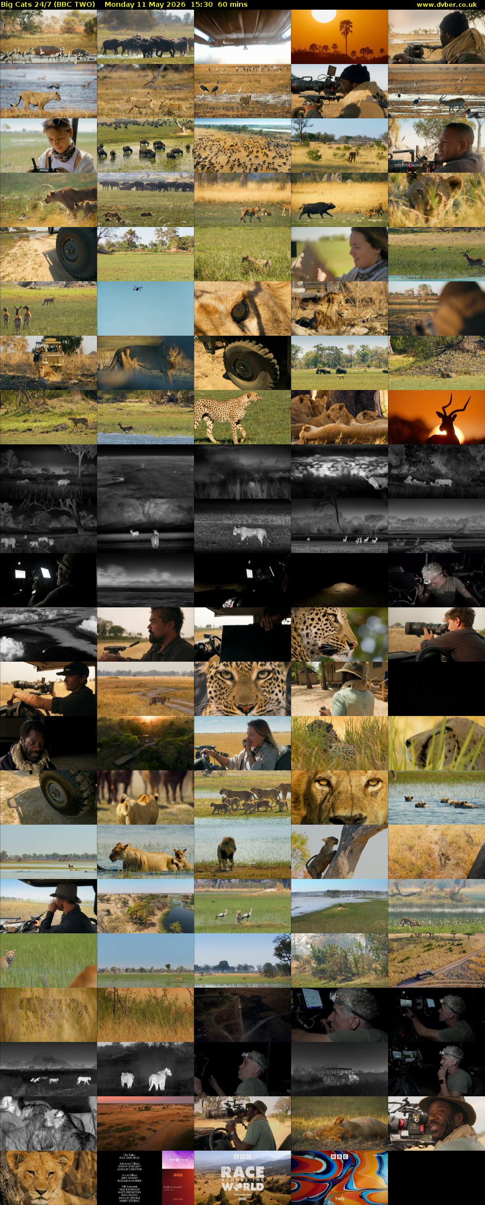 Big Cats 24/7 (BBC TWO) Monday 11 May 2026 15:30 - 16:30
