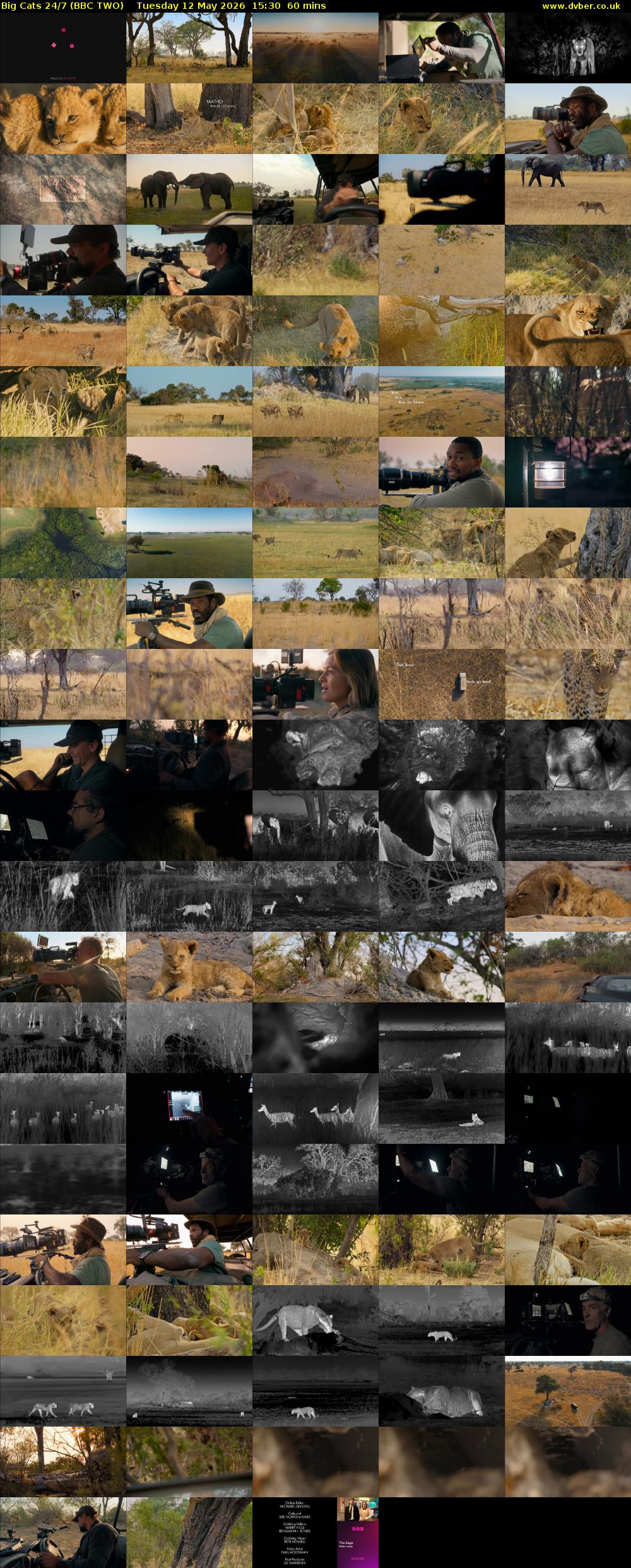 Big Cats 24/7 (BBC TWO) Tuesday 12 May 2026 15:30 - 16:30