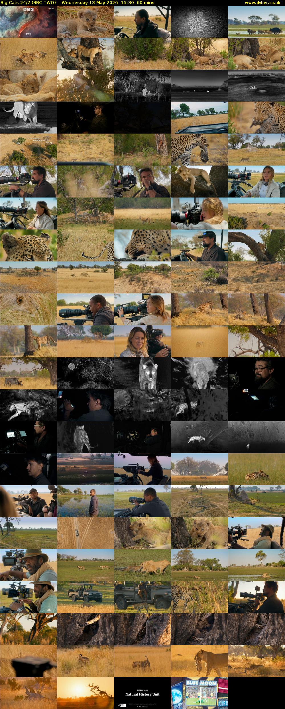 Big Cats 24/7 (BBC TWO) Wednesday 13 May 2026 15:30 - 16:30
