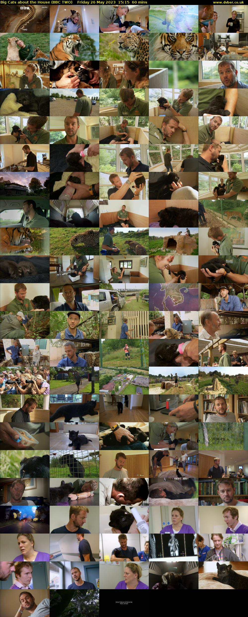 Big Cats About the House (BBC TWO) Friday 26 May 2023 15:15 - 16:15