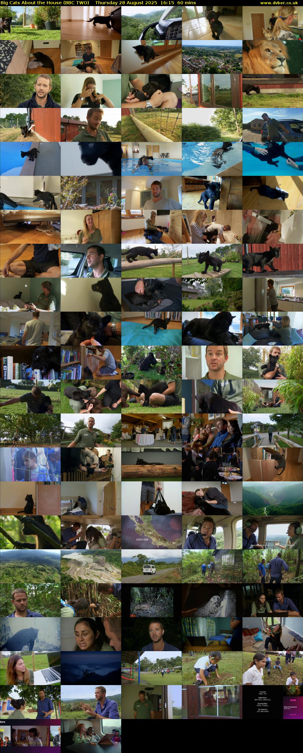 Big Cats About the House (BBC TWO) Thursday 28 August 2025 16:15 - 17:15