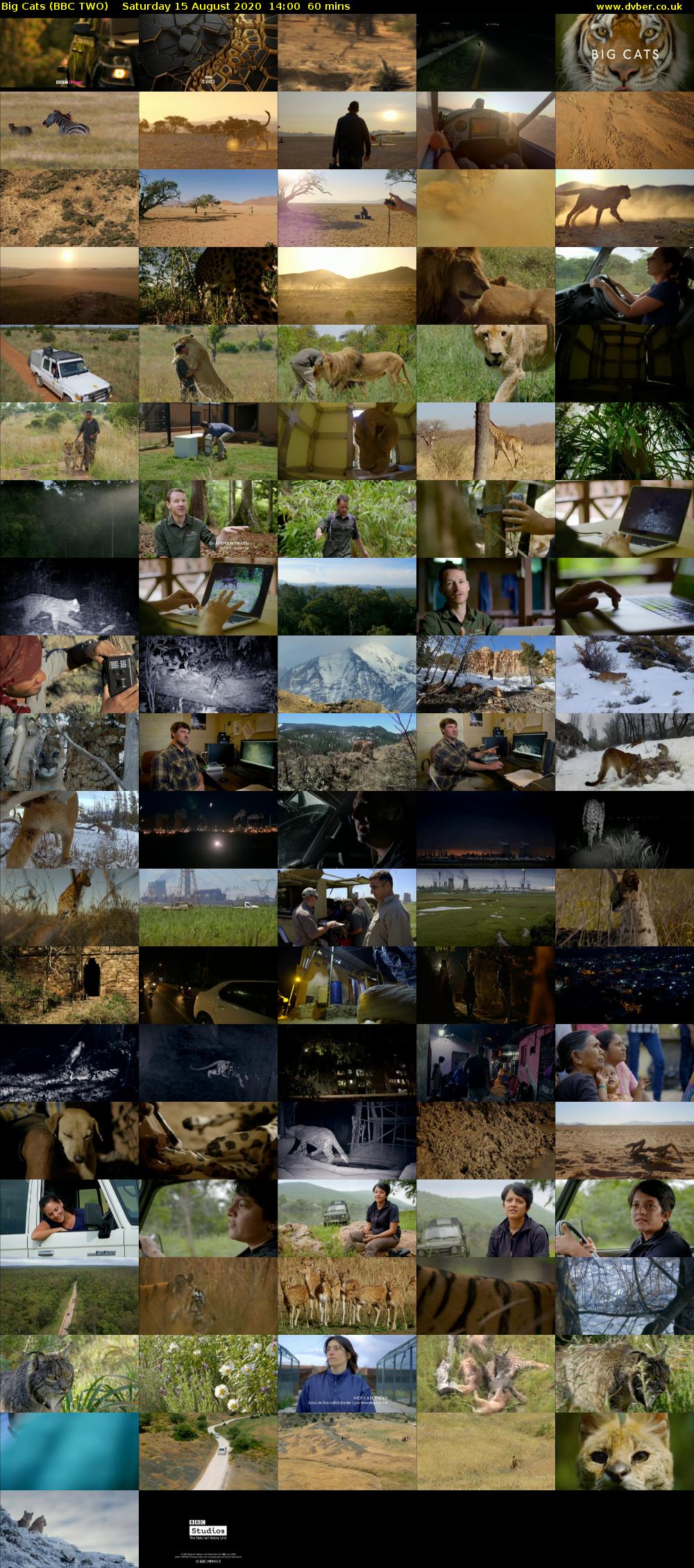 Big Cats (BBC TWO) Saturday 15 August 2020 14:00 - 15:00