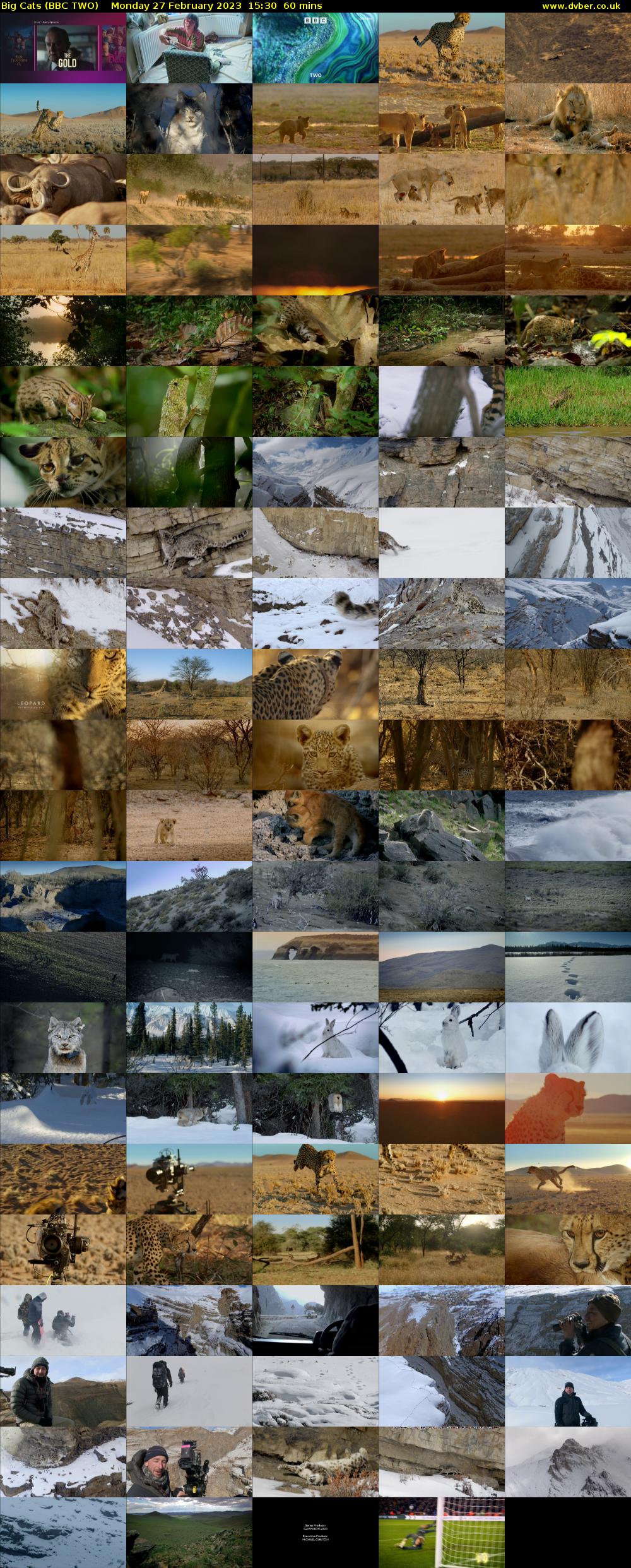 Big Cats (BBC TWO) Monday 27 February 2023 15:30 - 16:30