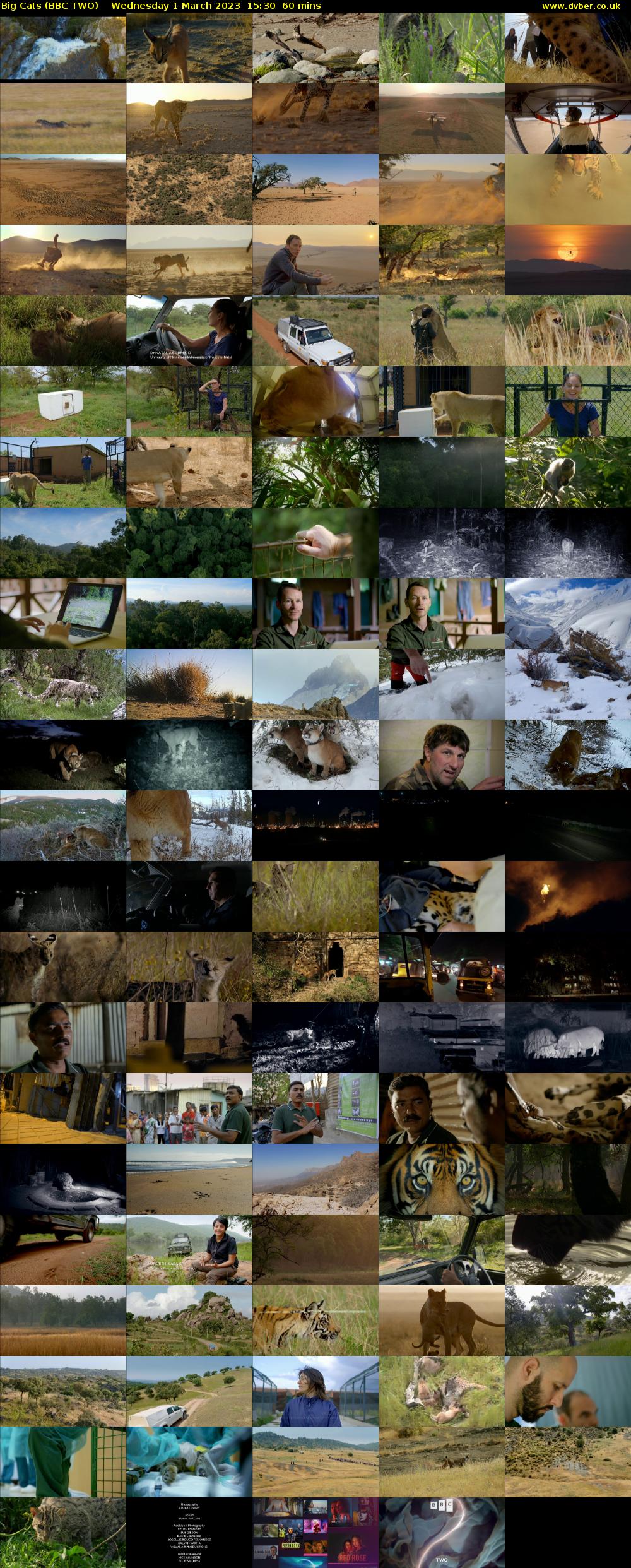 Big Cats (BBC TWO) Wednesday 1 March 2023 15:30 - 16:30
