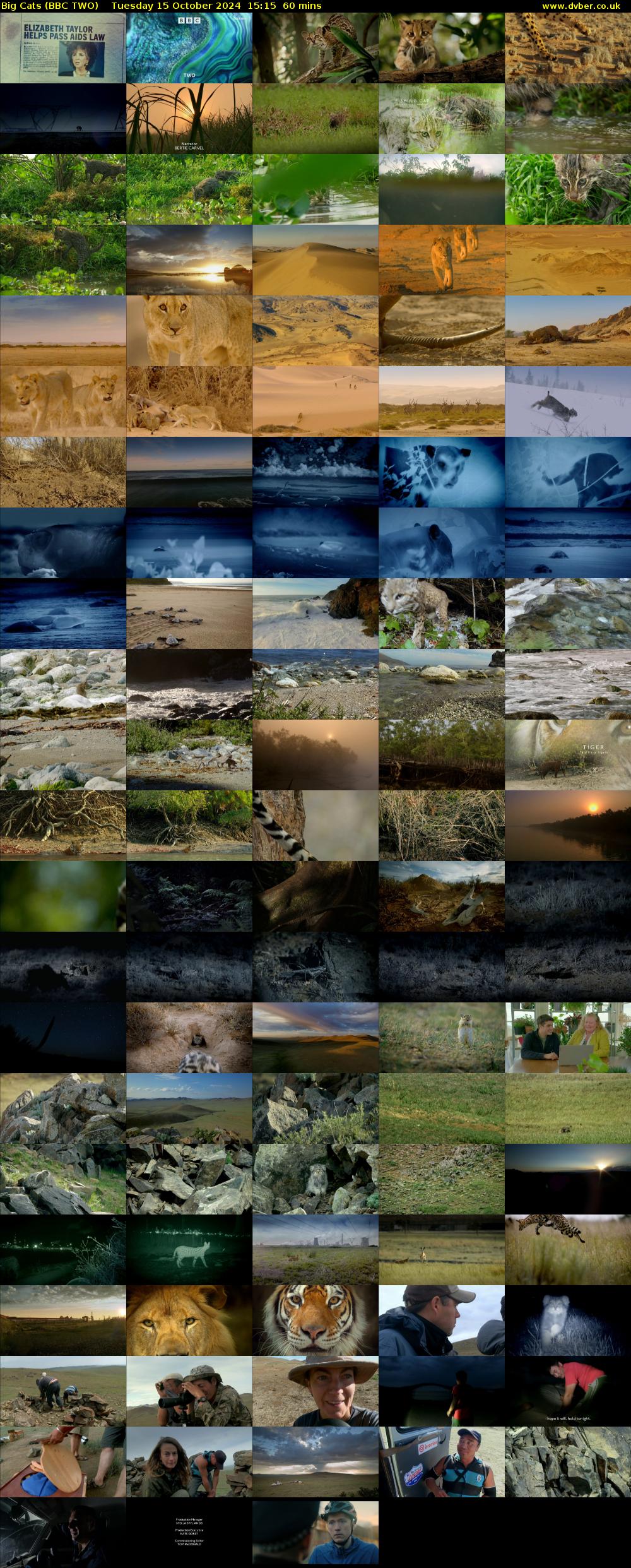 Big Cats (BBC TWO) Tuesday 15 October 2024 15:15 - 16:15