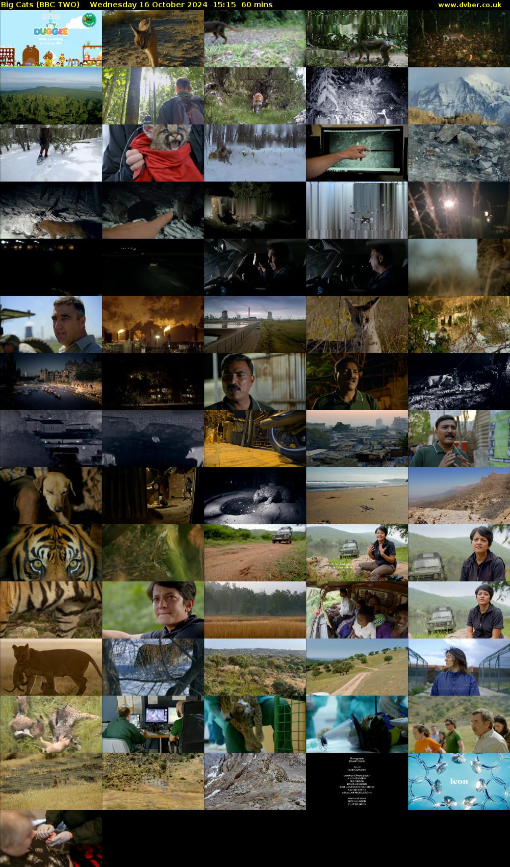 Big Cats (BBC TWO) Wednesday 16 October 2024 15:15 - 16:15