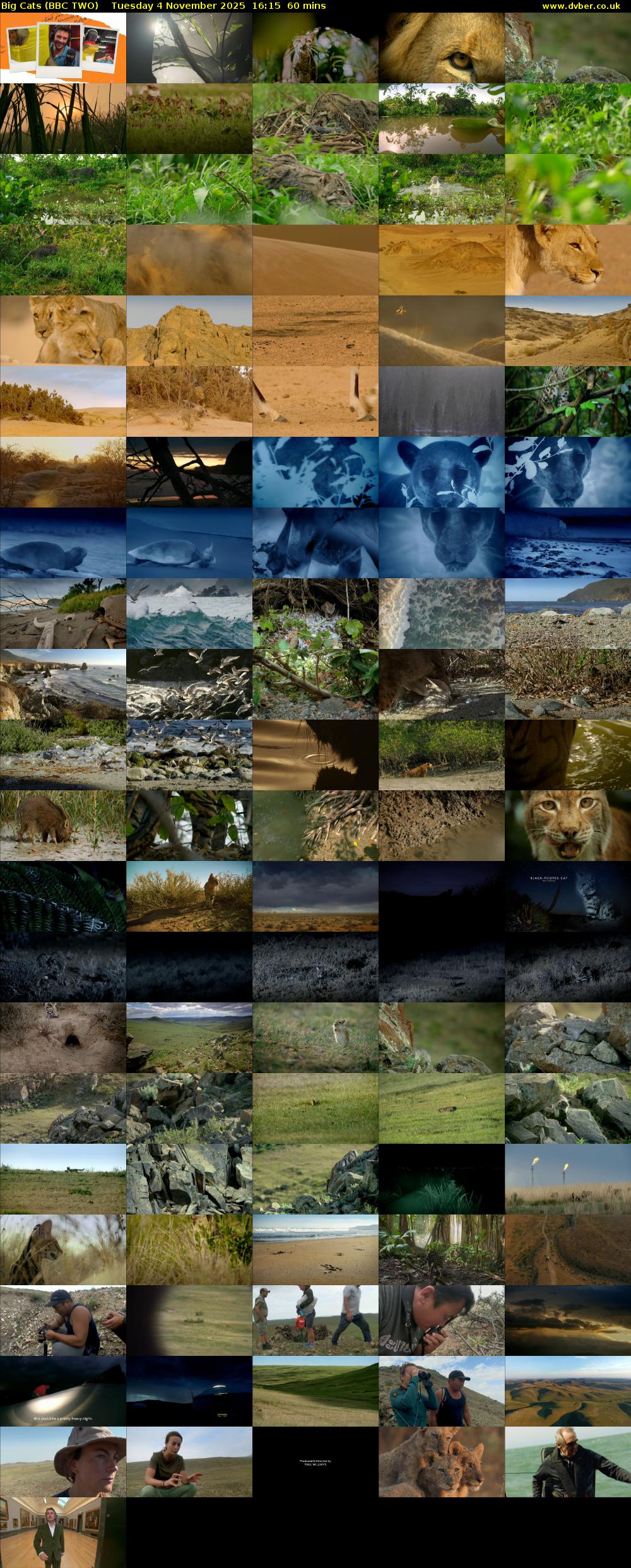 Big Cats (BBC TWO) Tuesday 4 November 2025 16:15 - 17:15