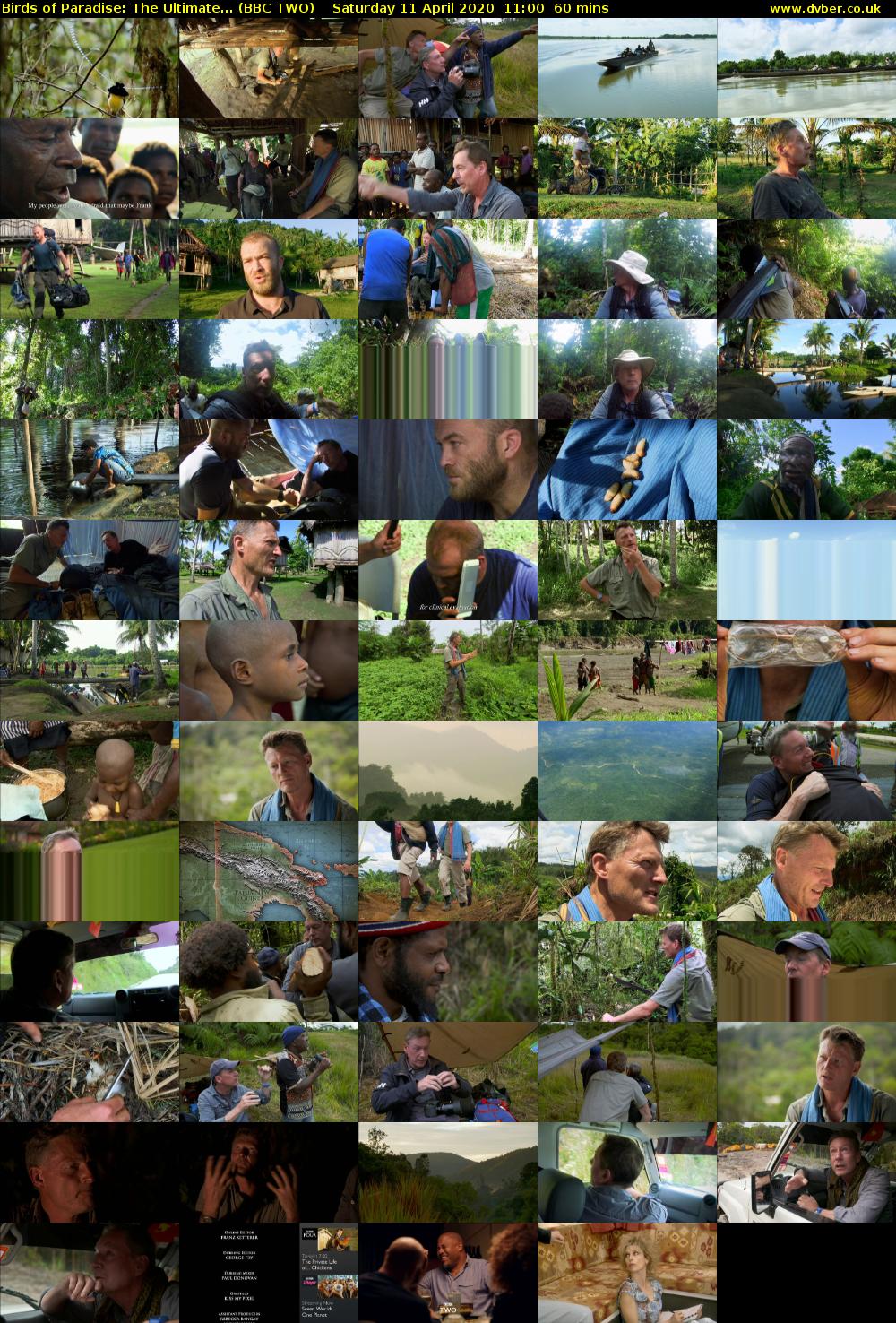 Birds of Paradise: The Ultimate... (BBC TWO) Saturday 11 April 2020 11:00 - 12:00