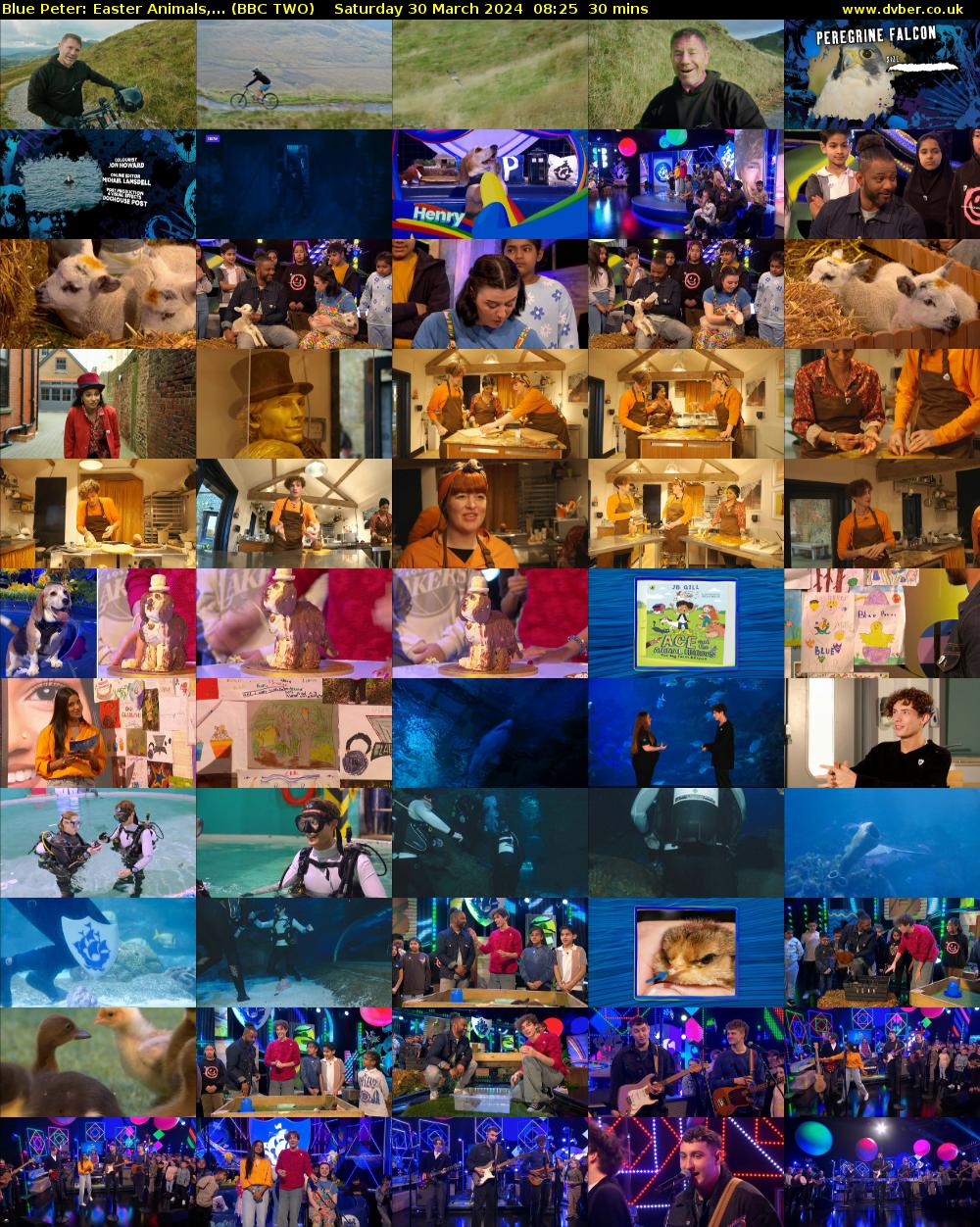 Blue Peter: Easter Animals,... (BBC TWO) Saturday 30 March 2024 08:25 - 08:55
