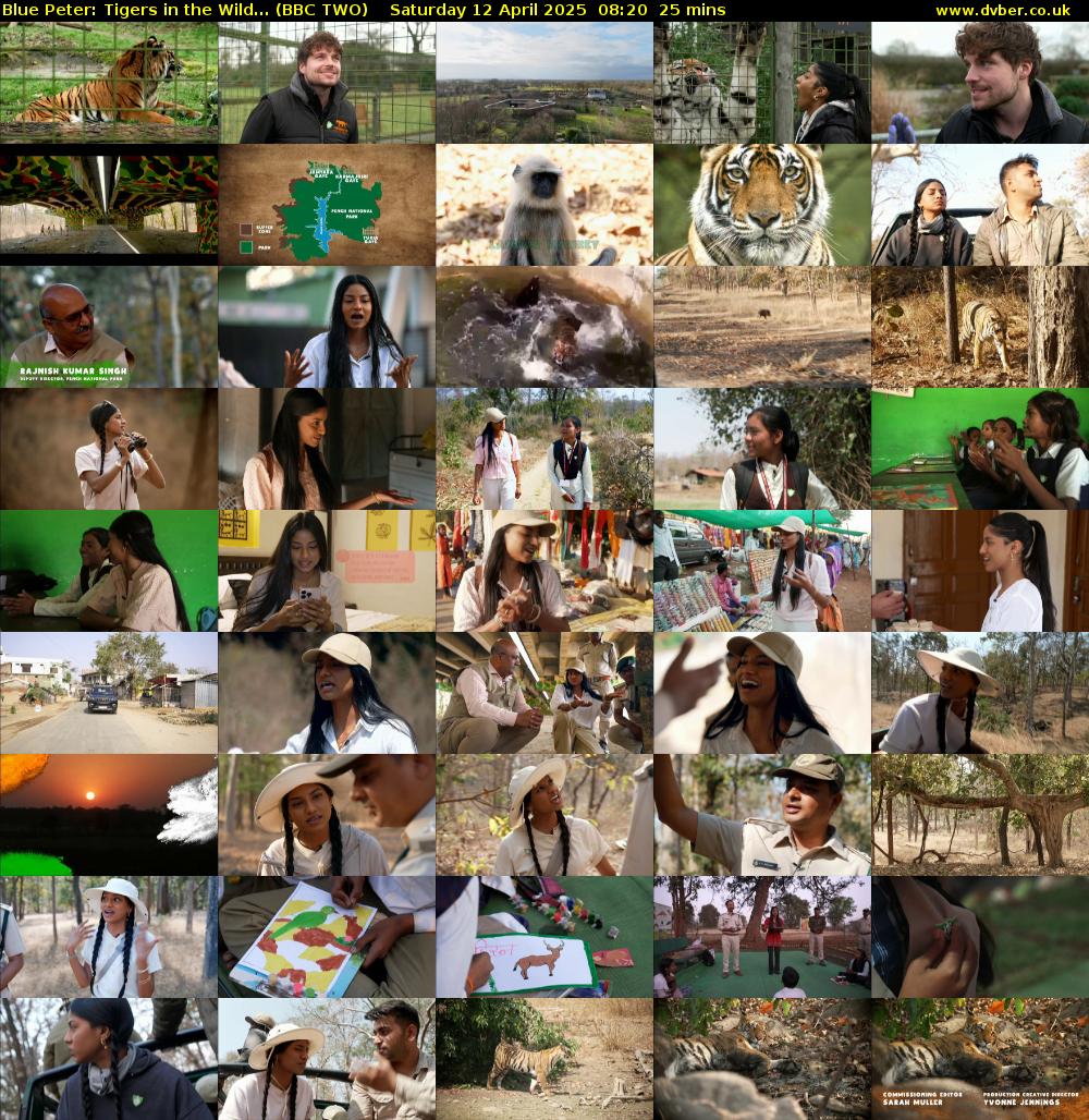Blue Peter: Tigers in the Wild... (BBC TWO) Saturday 12 April 2025 08:20 - 08:45