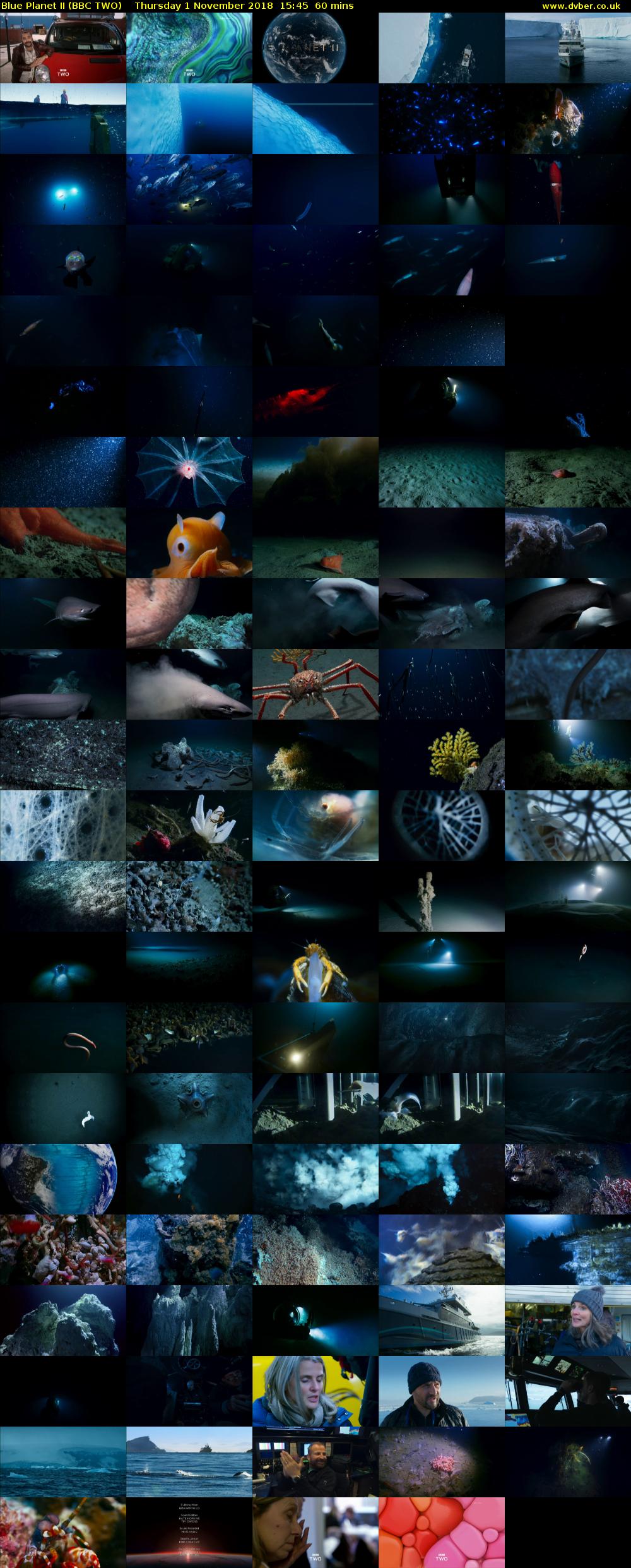 Blue Planet II (BBC TWO) Thursday 1 November 2018 15:45 - 16:45