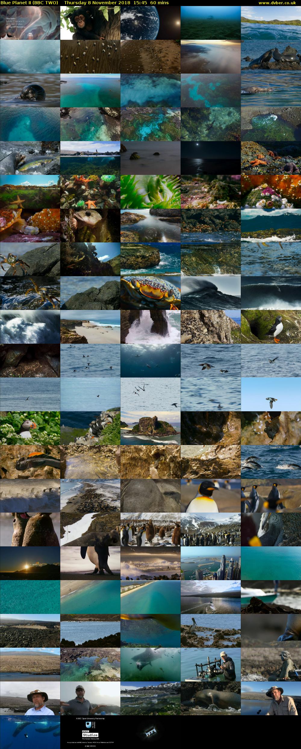 Blue Planet II (BBC TWO) Thursday 8 November 2018 15:45 - 16:45