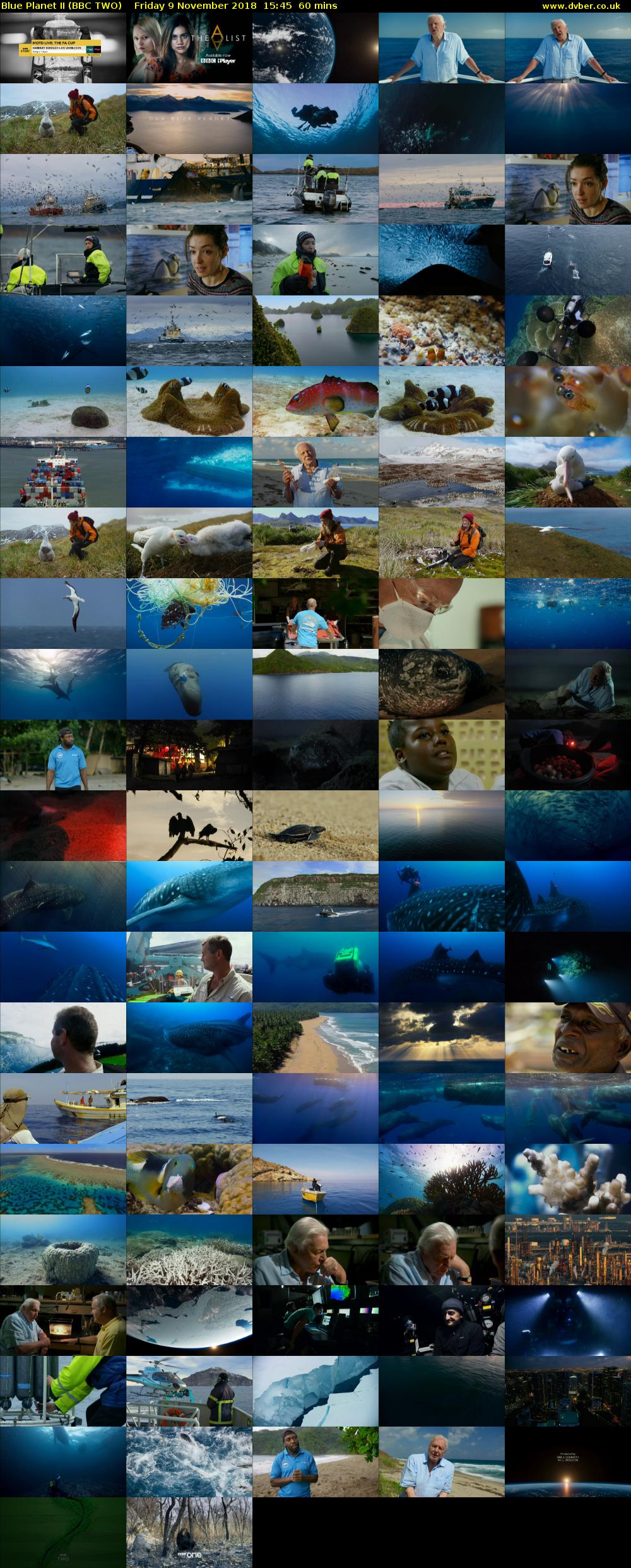 Blue Planet II (BBC TWO) Friday 9 November 2018 15:45 - 16:45