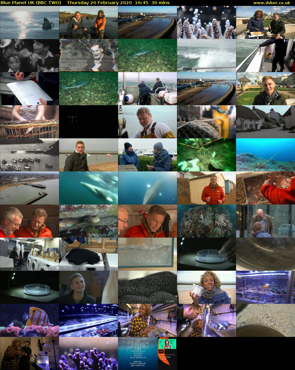 Blue Planet UK (BBC TWO) Thursday 20 February 2020 16:45 - 17:15