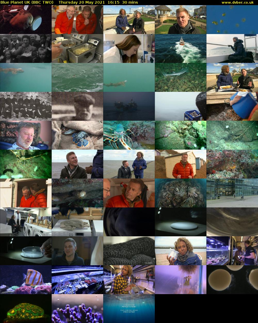 Blue Planet UK (BBC TWO) Thursday 20 May 2021 16:15 - 16:45