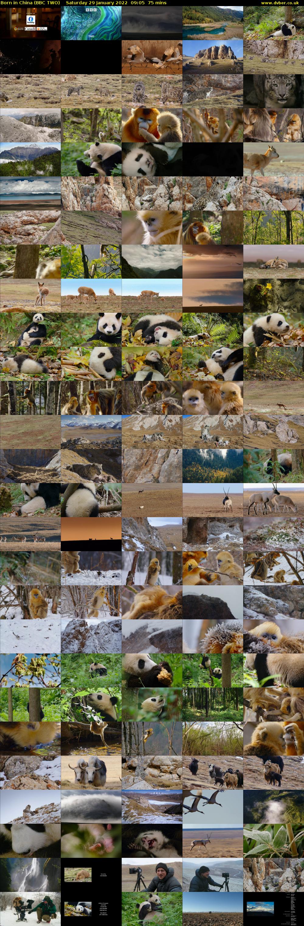 Born in China (BBC TWO) Saturday 29 January 2022 09:05 - 10:20