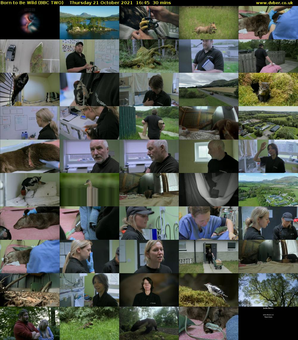 Born to be Wild (BBC TWO) Thursday 21 October 2021 16:45 - 17:15