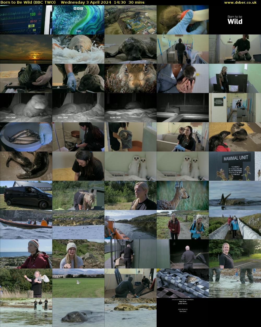 Born to be Wild (BBC TWO) Wednesday 3 April 2024 14:30 - 15:00