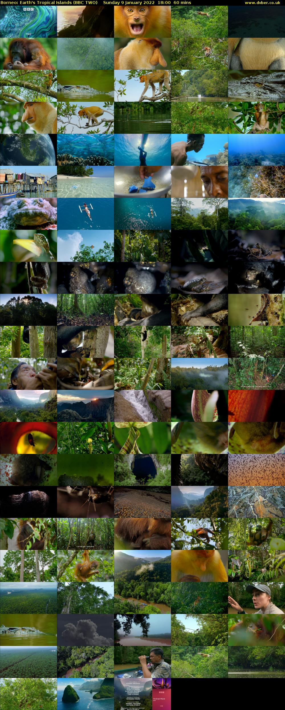 Borneo: Earth's Tropical Islands (BBC TWO) Sunday 9 January 2022 18:00 - 19:00