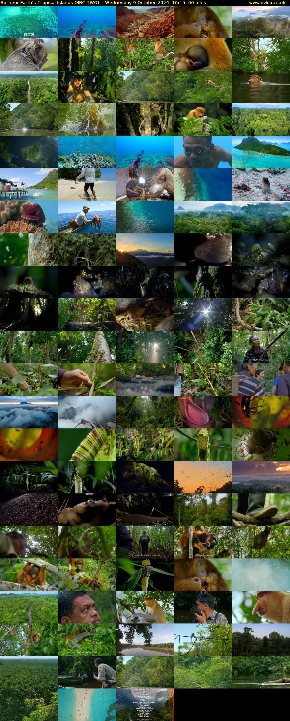 Borneo: Earth's Tropical Islands (BBC TWO) Wednesday 9 October 2024 16:15 - 17:15