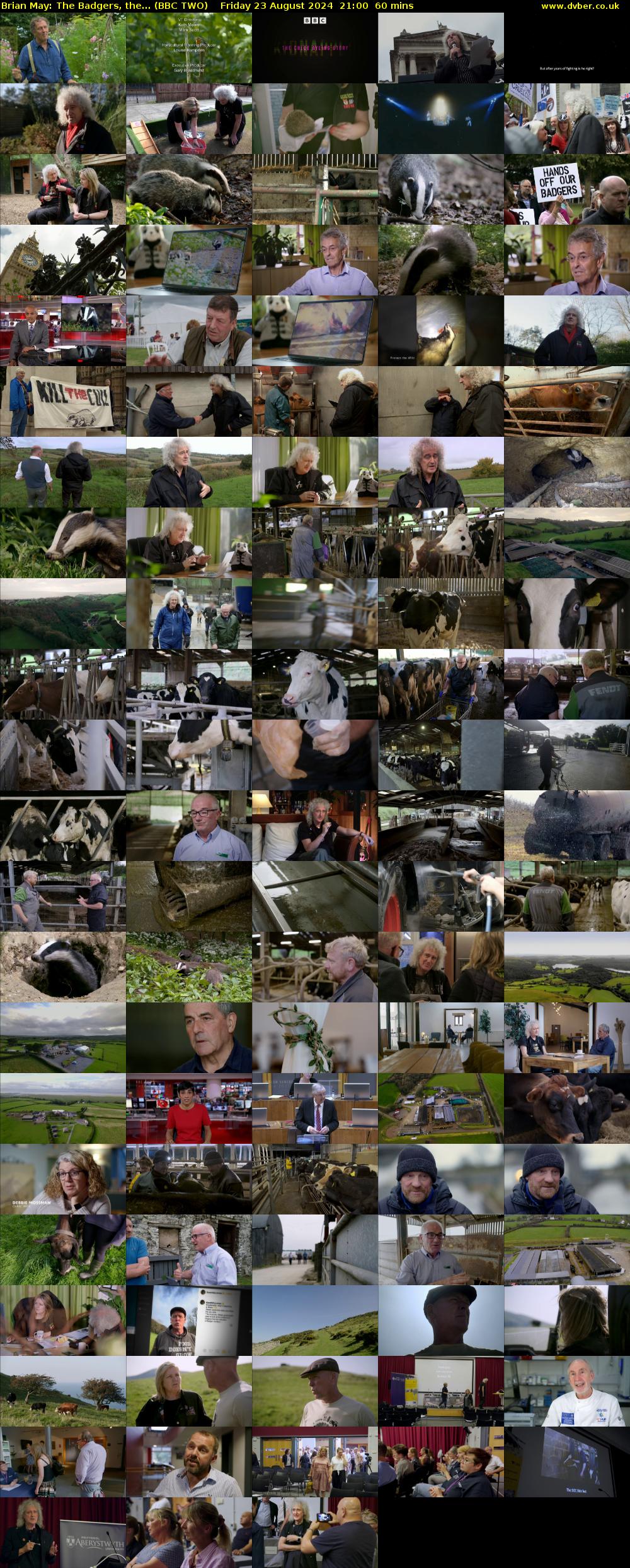 Brian May: The Badgers, the... (BBC TWO) Friday 23 August 2024 21:00 - 22:00
