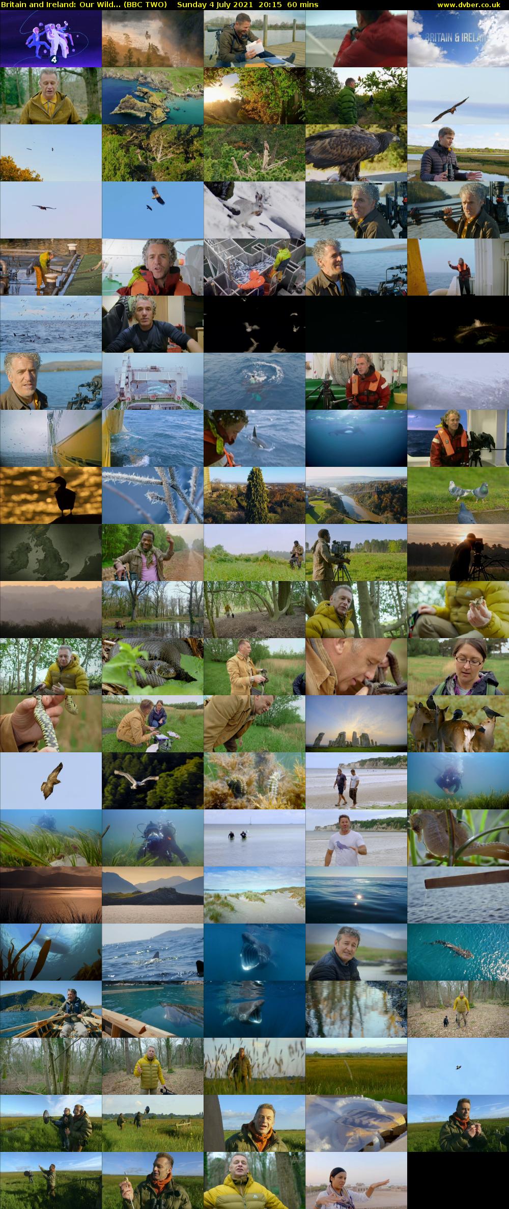 Britain and Ireland: Our Wild... (BBC TWO) Sunday 4 July 2021 20:15 - 21:15