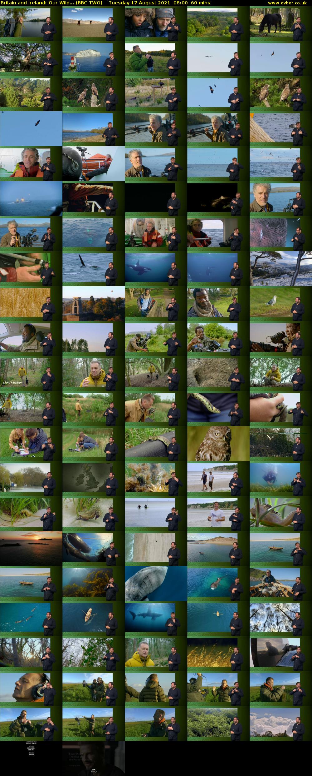 Britain and Ireland: Our Wild... (BBC TWO) Tuesday 17 August 2021 08:00 - 09:00