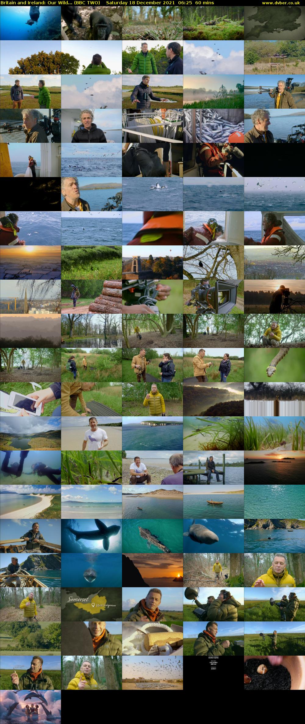 Britain and Ireland: Our Wild... (BBC TWO) Saturday 18 December 2021 06:25 - 07:25
