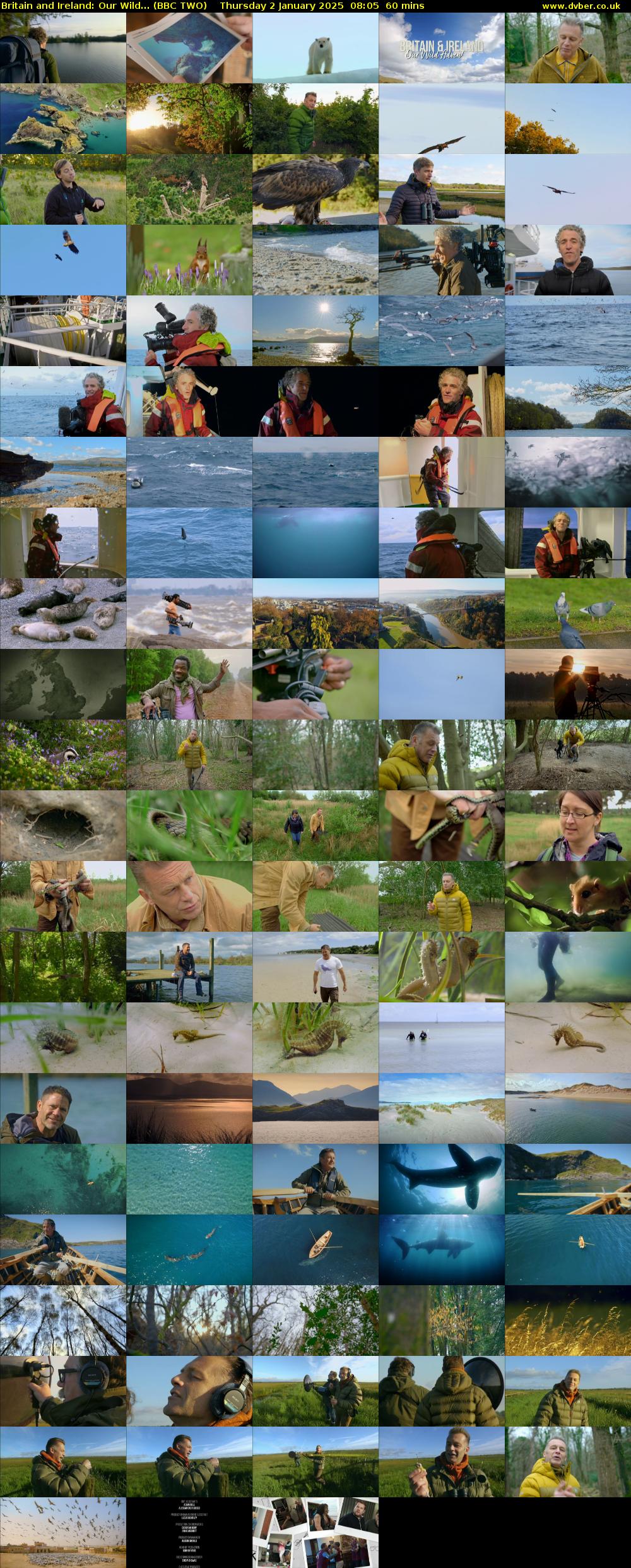 Britain and Ireland: Our Wild... (BBC TWO) Thursday 2 January 2025 08:05 - 09:05