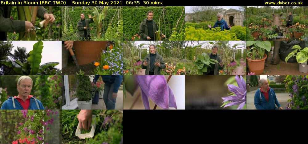 Britain in Bloom (BBC TWO) Sunday 30 May 2021 06:35 - 07:05