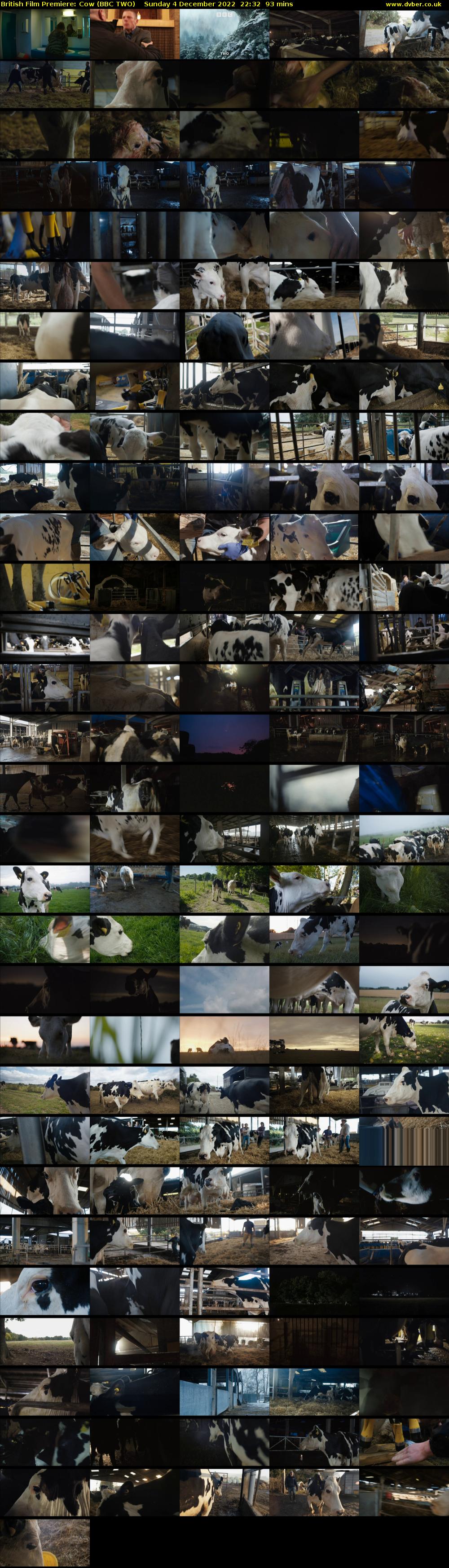 British Film Premiere: Cow (BBC TWO) Sunday 4 December 2022 22:32 - 00:05