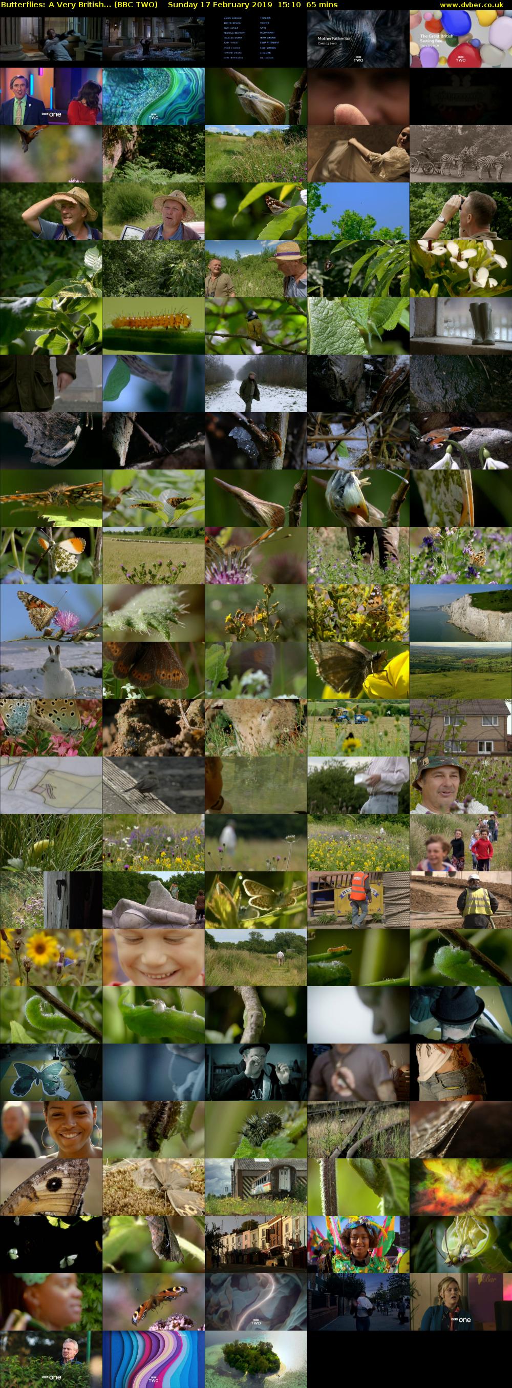 Butterflies: A Very British... (BBC TWO) Sunday 17 February 2019 15:10 - 16:15