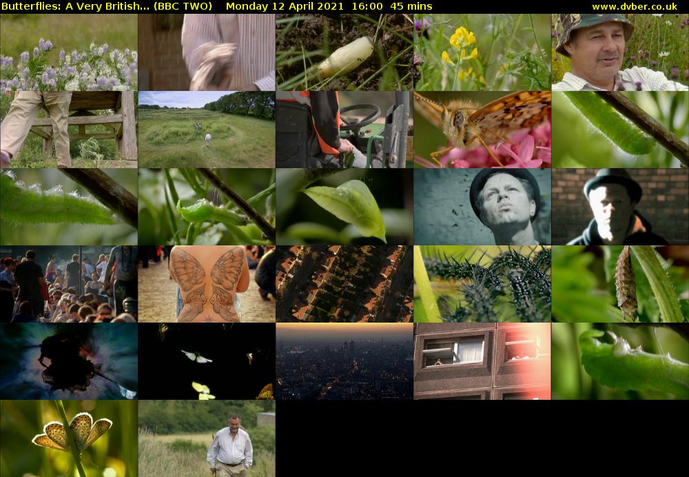 Butterflies: A Very British... (BBC TWO) Monday 12 April 2021 16:00 - 16:45