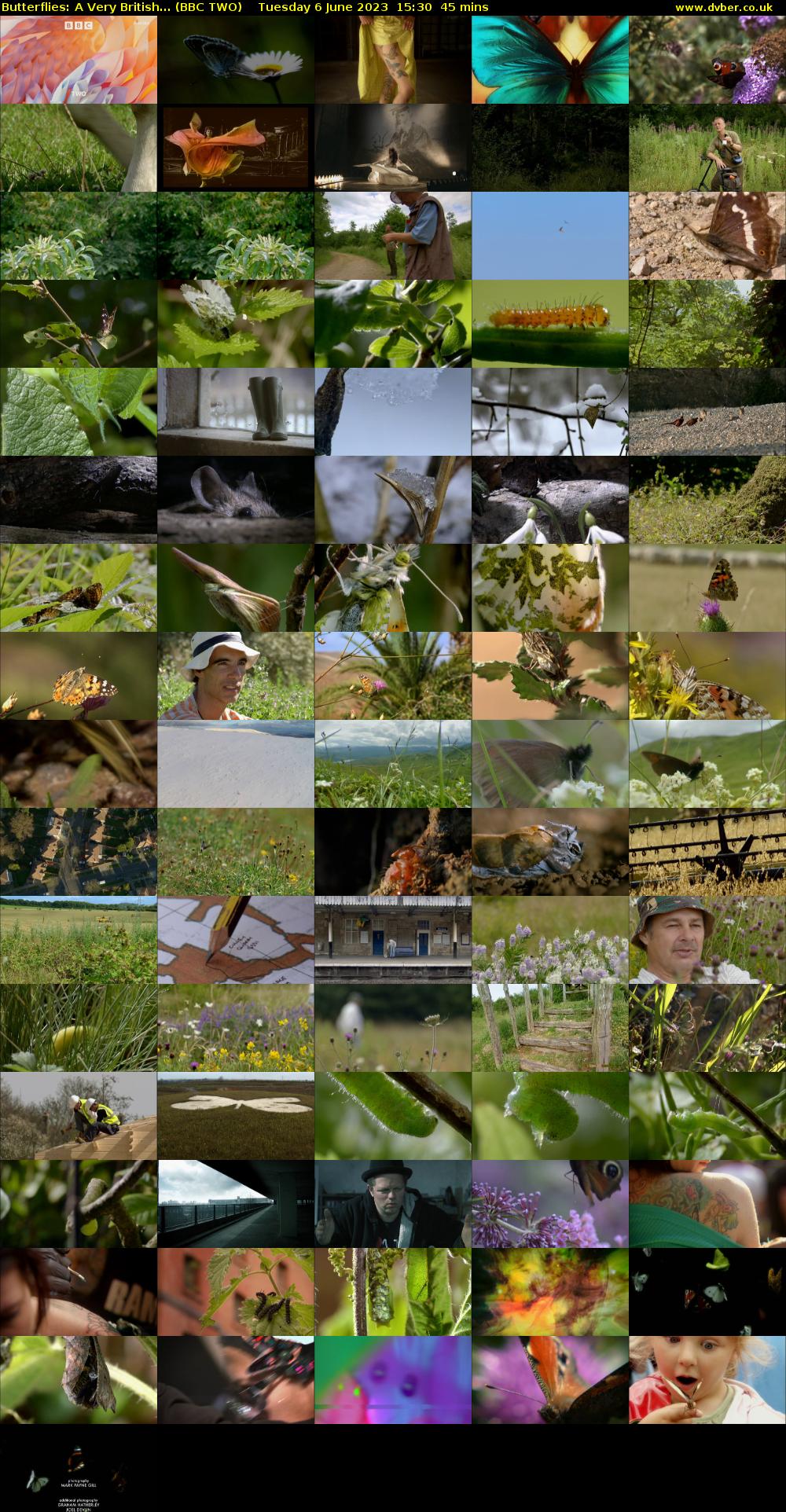 Butterflies: A Very British... (BBC TWO) Tuesday 6 June 2023 15:30 - 16:15