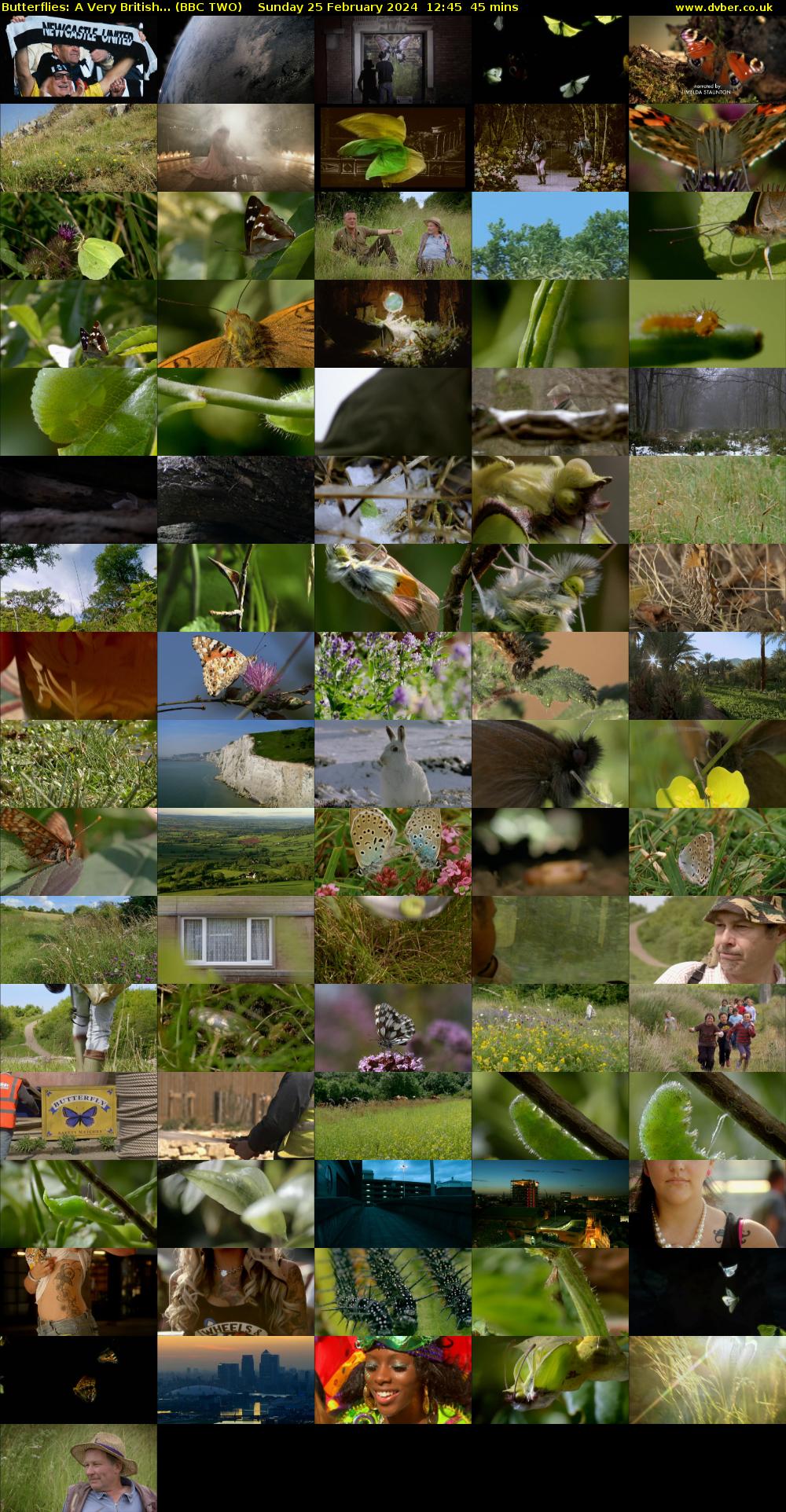 Butterflies: A Very British... (BBC TWO) Sunday 25 February 2024 12:45 - 13:30