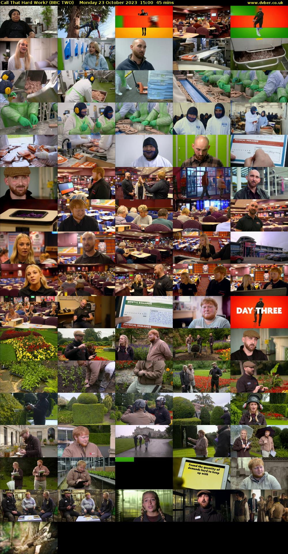 Call That Hard Work? (BBC TWO) Monday 23 October 2023 15:00 - 15:45