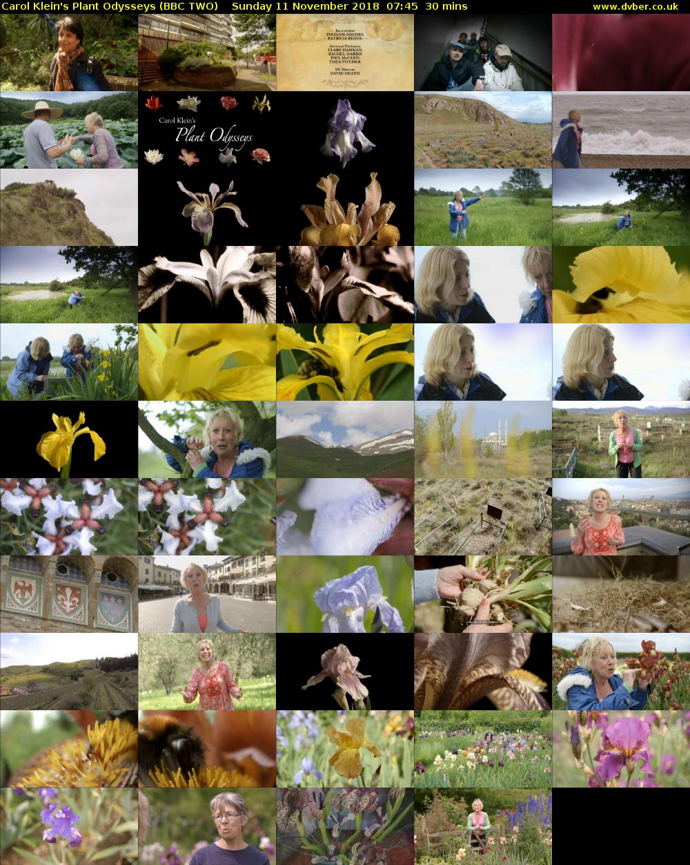 Carol Klein's Plant Odysseys (BBC TWO) Sunday 11 November 2018 07:45 - 08:15