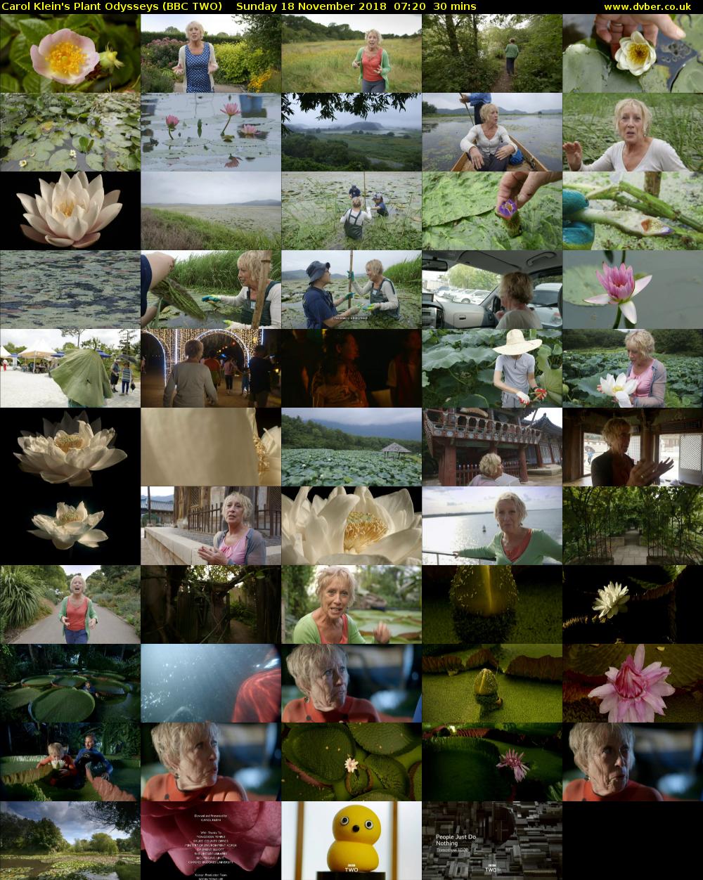 Carol Klein's Plant Odysseys (BBC TWO) Sunday 18 November 2018 07:20 - 07:50