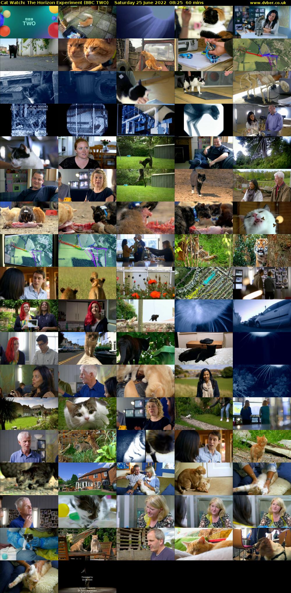 Cat Watch: The Horizon Experiment (BBC TWO) Saturday 25 June 2022 08:25 - 09:25
