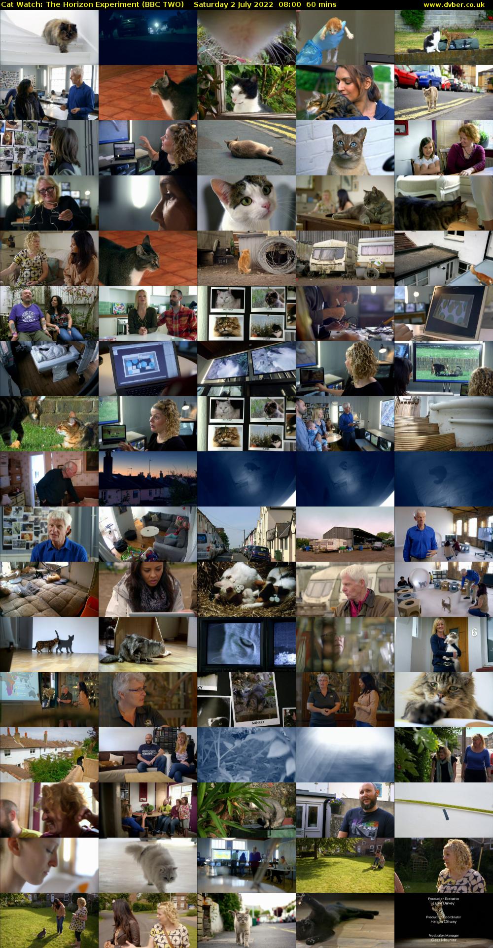 Cat Watch: The Horizon Experiment (BBC TWO) Saturday 2 July 2022 08:00 - 09:00