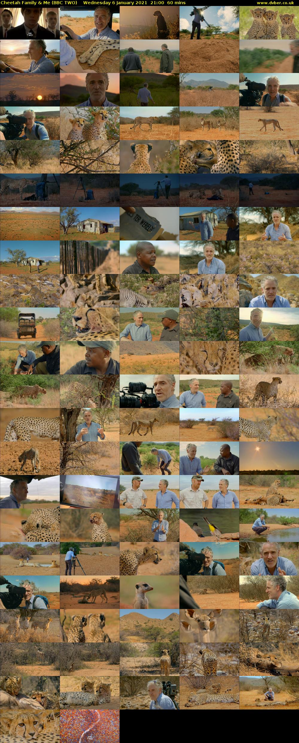 Cheetah Family & Me (BBC TWO) Wednesday 6 January 2021 21:00 - 22:00