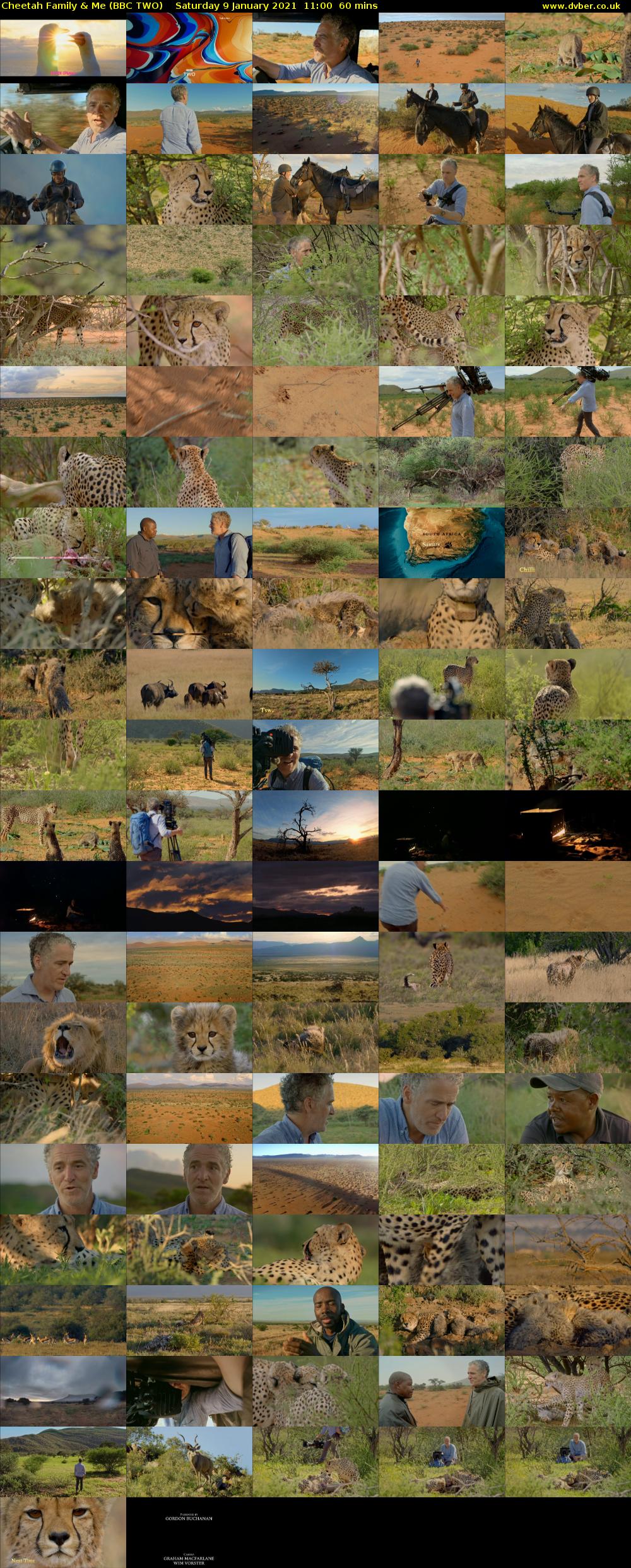 Cheetah Family & Me (BBC TWO) Saturday 9 January 2021 11:00 - 12:00